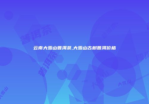 云南大雪山普洱茶,大雪山古树普洱价格