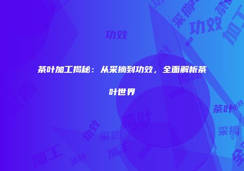 茶叶加工揭秘：从采摘到功效，全面解析茶叶世界
