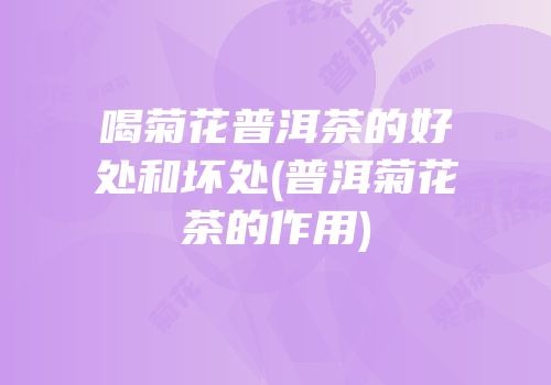喝菊花普洱茶的好处和坏处(普洱菊花茶的作用)