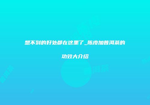 想不到的好处都在这里了_陈皮加普洱茶的功效大介绍