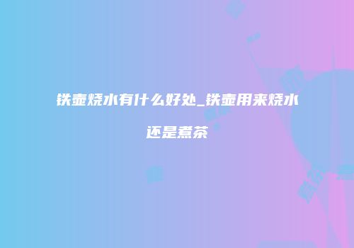 铁壶烧水有什么好处_铁壶用来烧水还是煮茶