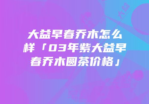 大益早春乔木怎么样「03年紫大益早春乔木圆茶价格」