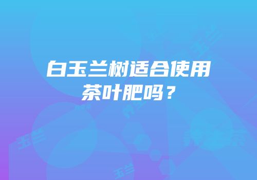 白玉兰树适合使用茶叶肥吗？