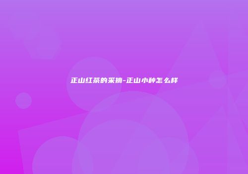 正山红茶的采摘-正山小种怎么样
