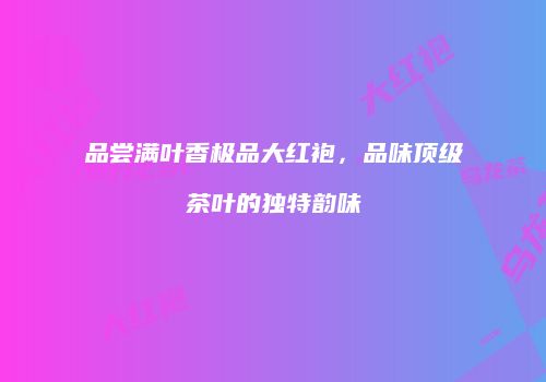 品尝满叶香极品大红袍，品味顶级茶叶的独特韵味