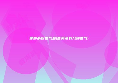 哪种茶树香气最(普洱茶有几种香气)
