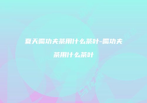 夏天喝功夫茶用什么茶叶-喝功夫茶用什么茶叶