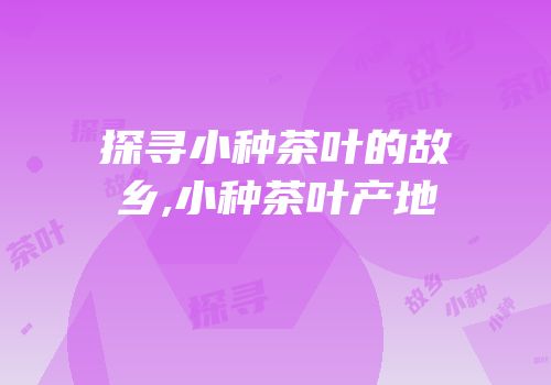 探寻小种茶叶的故乡,小种茶叶产地