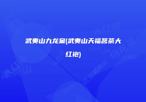 武夷山九龙窠(武夷山天福茗茶大红袍)
