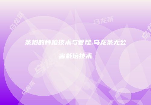 茶树的种植技术与管理,乌龙茶无公害栽培技术