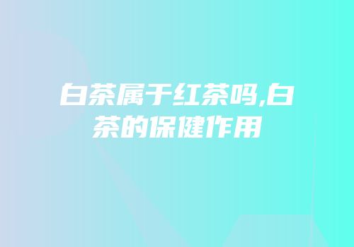 白茶属于红茶吗,白茶的保健作用
