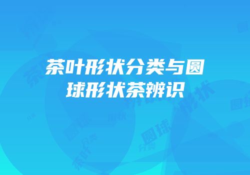 茶叶形状分类与圆球形状茶辨识