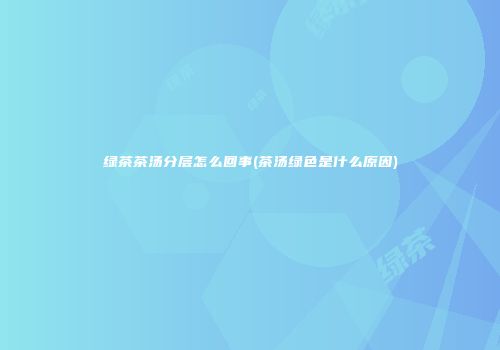 绿茶茶汤分层怎么回事(茶汤绿色是什么原因)