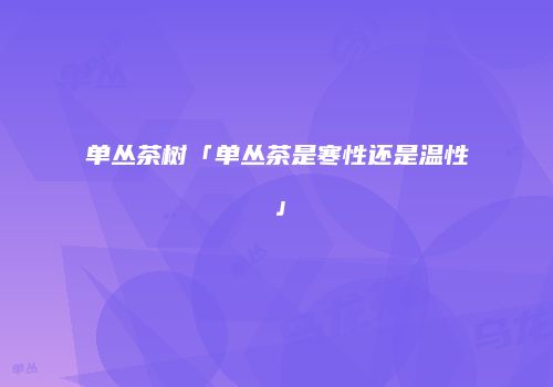 单丛茶树「单丛茶是寒性还是温性」