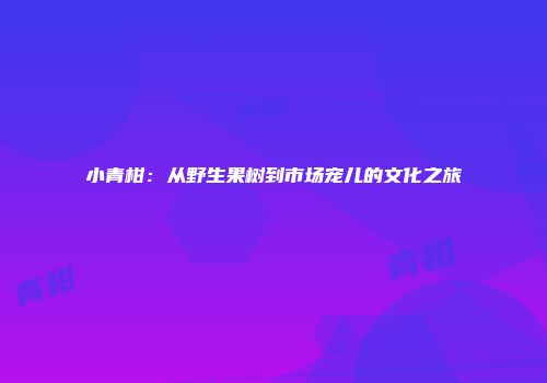 小青柑：从野生果树到市场宠儿的文化之旅