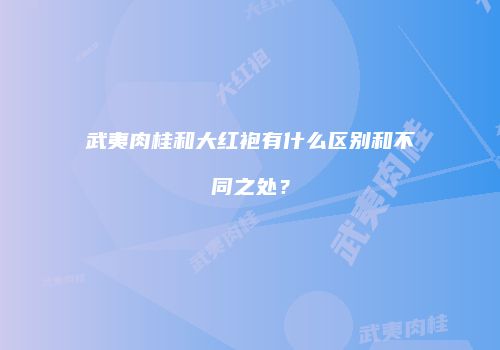 武夷肉桂和大红袍有什么区别和不同之处？
