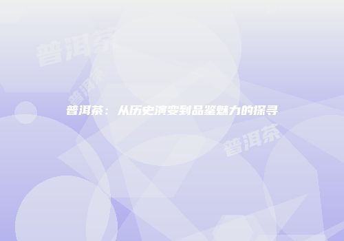 普洱茶：从历史演变到品鉴魅力的探寻