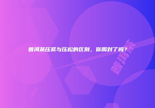 普洱茶压紧与压松的区别，你喝对了吗？
