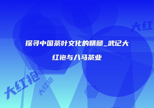 探寻中国茶叶文化的精髓_武记大红袍与八马茶业