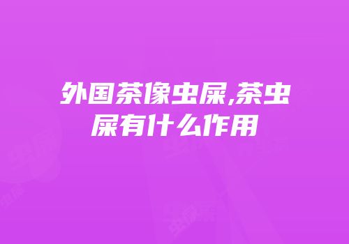 外国茶像虫屎,茶虫屎有什么作用