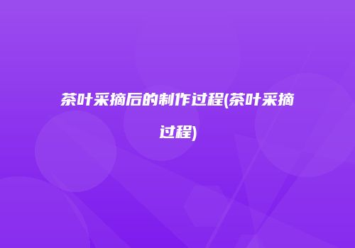 茶叶采摘后的制作过程(茶叶采摘过程)