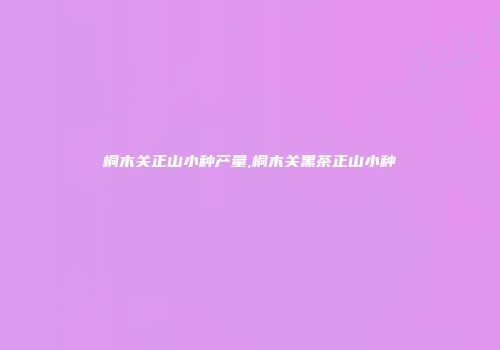 桐木关正山小种产量,桐木关黑茶正山小种