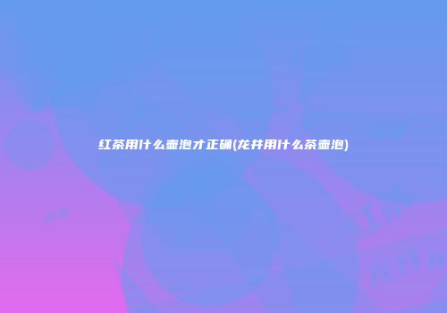 红茶用什么壶泡才正确(龙井用什么茶壶泡)
