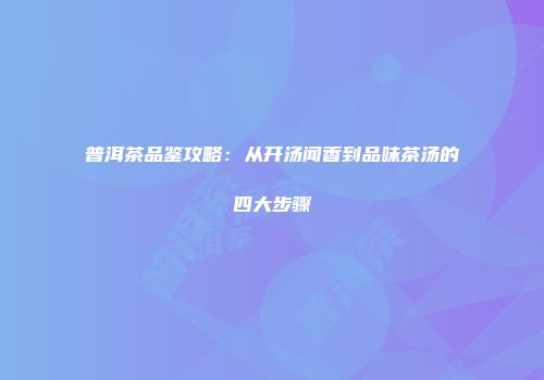 普洱茶品鉴攻略：从开汤闻香到品味茶汤的四大步骤