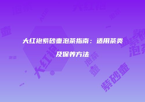 大红袍紫砂壶泡茶指南：适用茶类及保养方法