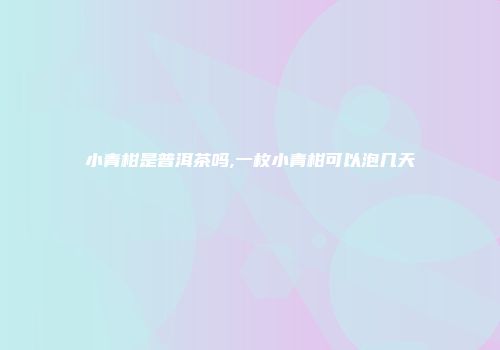 小青柑是普洱茶吗,一枚小青柑可以泡几天