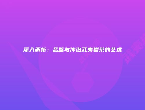深入解析：品鉴与冲泡武夷岩茶的艺术