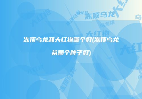 冻顶乌龙和大红袍哪个好(冻顶乌龙茶哪个牌子好)