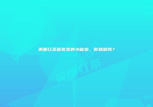 英德红茶苗批发的小秘密，你知道吗？