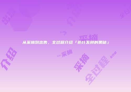 从采摘到出售，全过程介绍「茶叶发酵的奥秘」