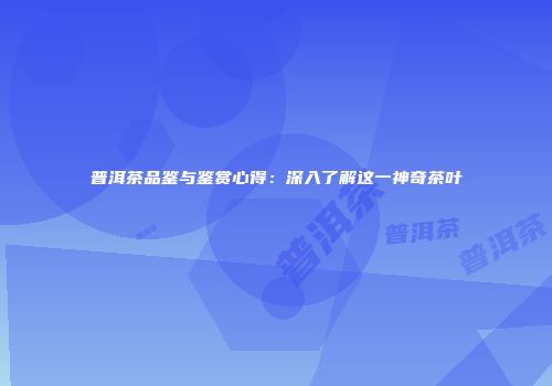 普洱茶品鉴与鉴赏心得：深入了解这一神奇茶叶