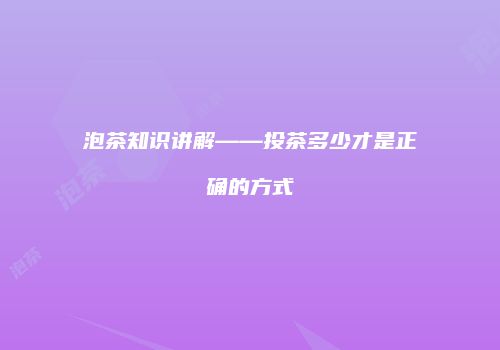 泡茶知识讲解——投茶多少才是正确的方式