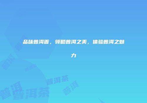 品味普洱香，领略普洱之美，体验普洱之魅力