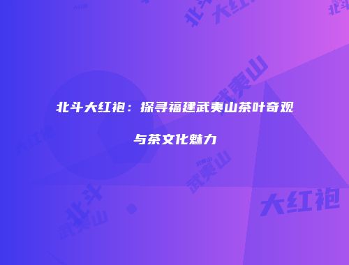 北斗大红袍：探寻福建武夷山茶叶奇观与茶文化魅力