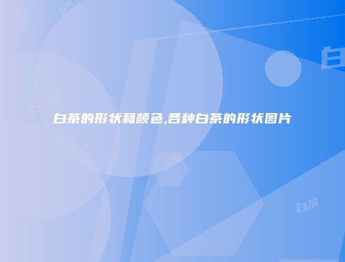 白茶的形状和颜色,各种白茶的形状图片