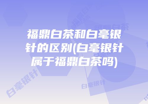 福鼎白茶和白毫银针的区别(白毫银针属于福鼎白茶吗)