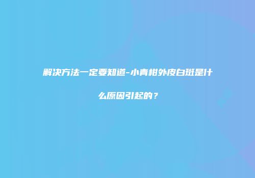 解决方法一定要知道-小青柑外皮白斑是什么原因引起的？