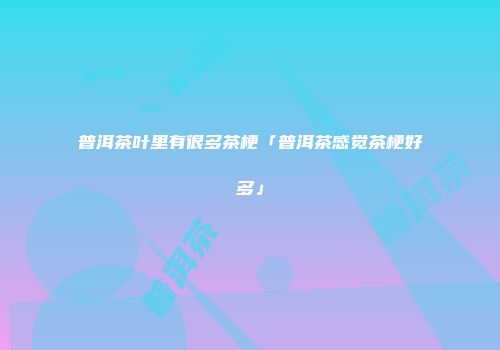 普洱茶叶里有很多茶梗「普洱茶感觉茶梗好多」