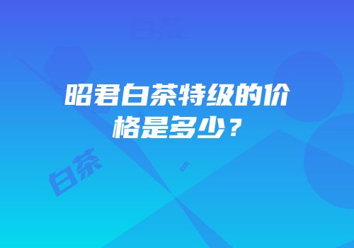 昭君白茶特级的价格是多少？