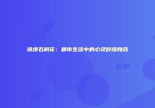 铁皮石斛花：都市生活中的心灵舒缓良药