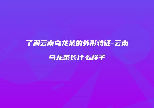 了解云南乌龙茶的外形特征-云南乌龙茶长什么样子