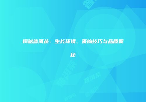 揭秘普洱茶：生长环境、采摘技巧与品质奥秘