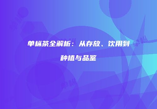 单枞茶全解析：从存放、饮用到种植与品鉴