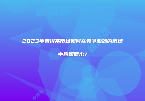 2023年普洱茶市场如何在竞争激烈的市场中脱颖而出？