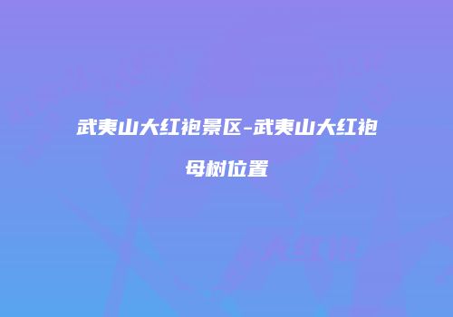 武夷山大红袍景区-武夷山大红袍母树位置