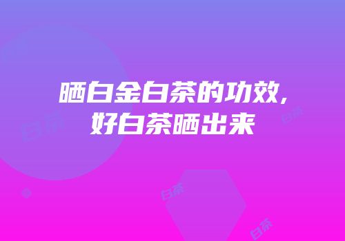 晒白金白茶的功效,好白茶晒出来